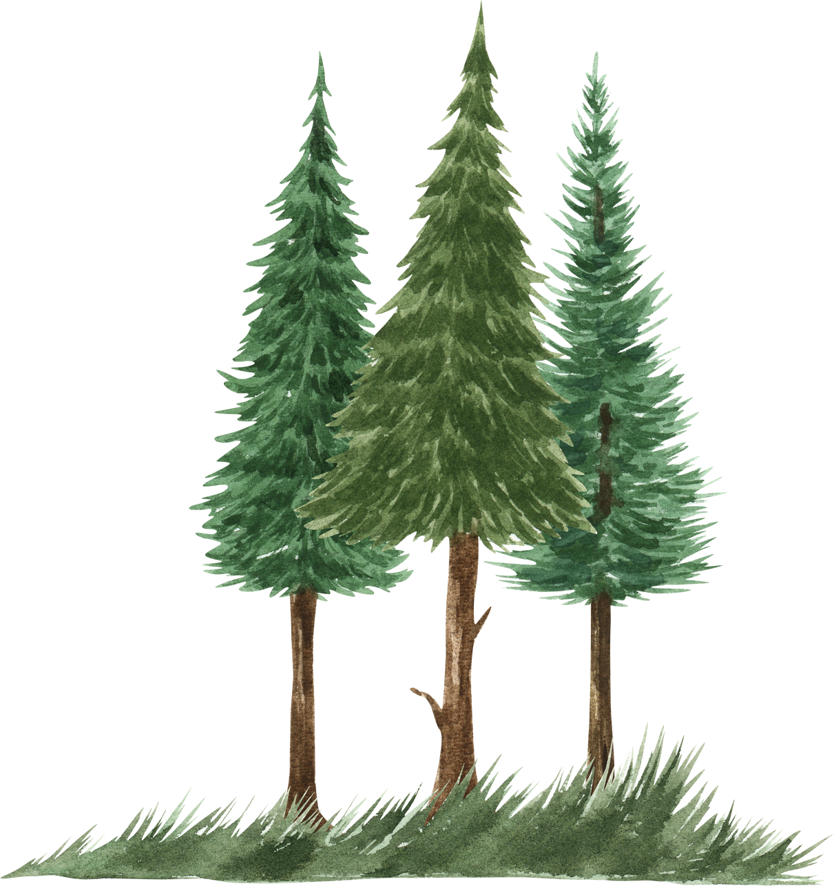 Greenery trees clipart